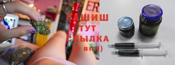 шишки Алексин